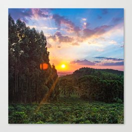 Brazil Photography - Astonishing Sunset Over The Brazilian Forest Canvas Print