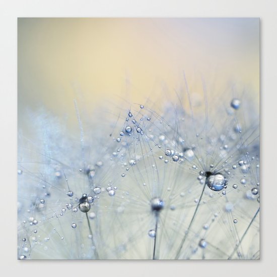 ice blue dandelion Canvas Print