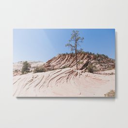 Trees & Rocks - Zion National Park Metal Print | Desert, Rocks, Digital, Pastel, Photo, Landscape, Zion, Mighty Five, Color, National Park 