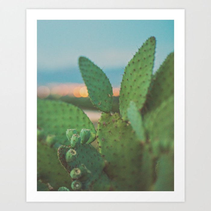 Cactus. Las Cruces Sunset. Art Print