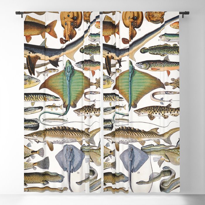 Adolphe Millot - Poissons A - French vintage nautical poster Blackout Curtain