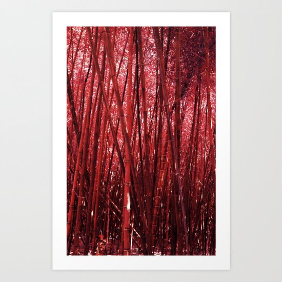 Red Bamboo Art Print