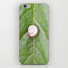Snail and green leaf symbiosis iPhone Skin