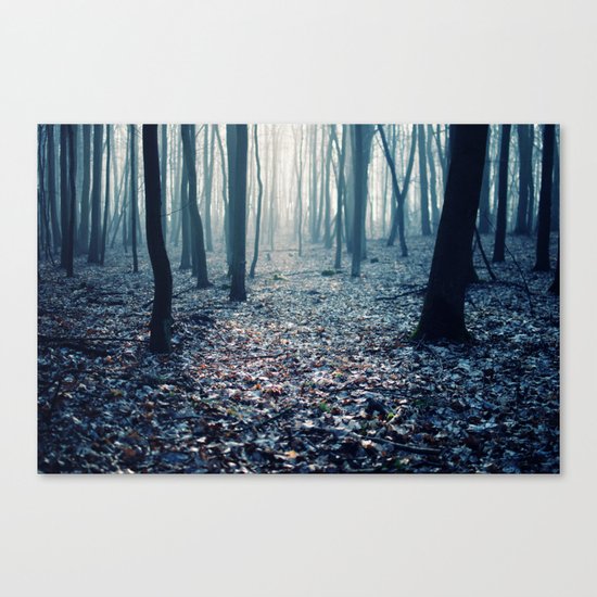 Brume Canvas Print