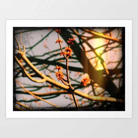 Spring Art Print
