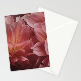 Blush Flowers Stationery Card
