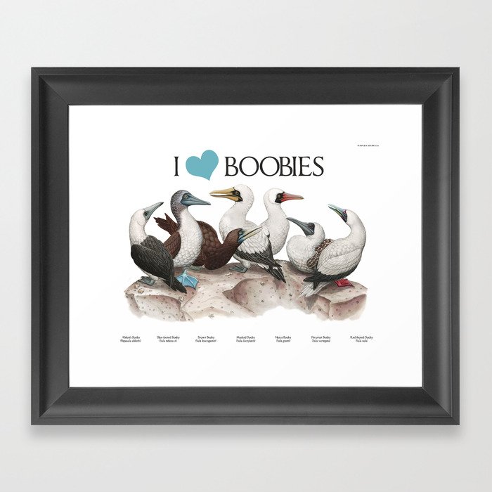 I Heart Boobies Framed Art Print