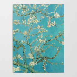Almond Blossom by Vincent van Gogh, 1890 Poster