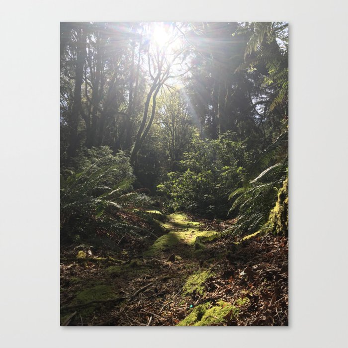 Afternoon Stroll Canvas Print