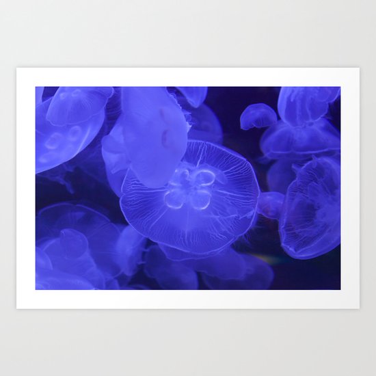 Moon Jelly Fish Art Print