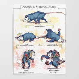 Opossum Survival Guide Poster