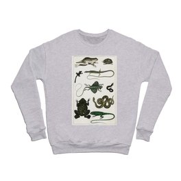 Collection of Various Reptiles  Crewneck Sweatshirt