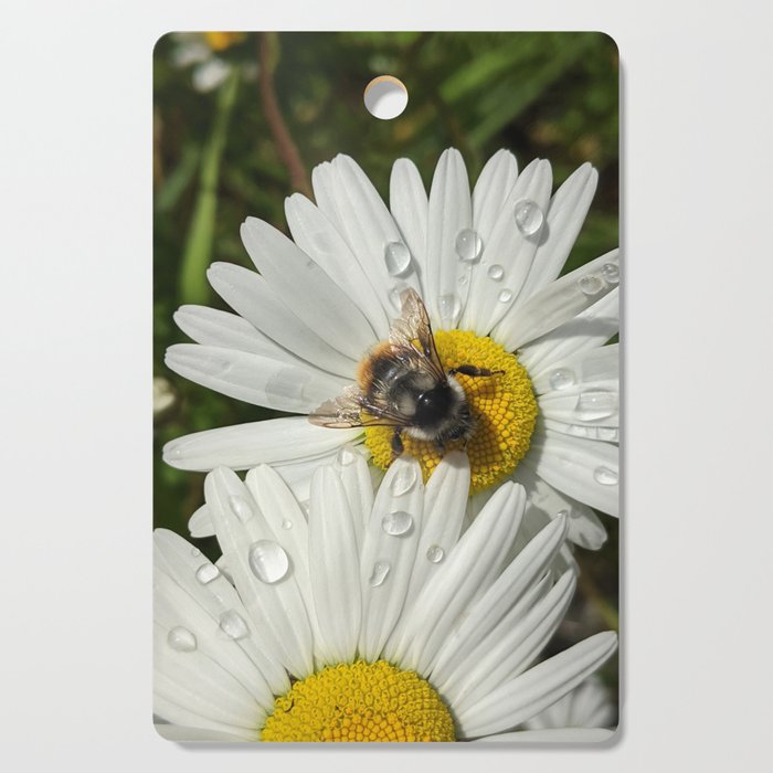 Busy As A Bee: Tattered But Not Tired Cutting Board
