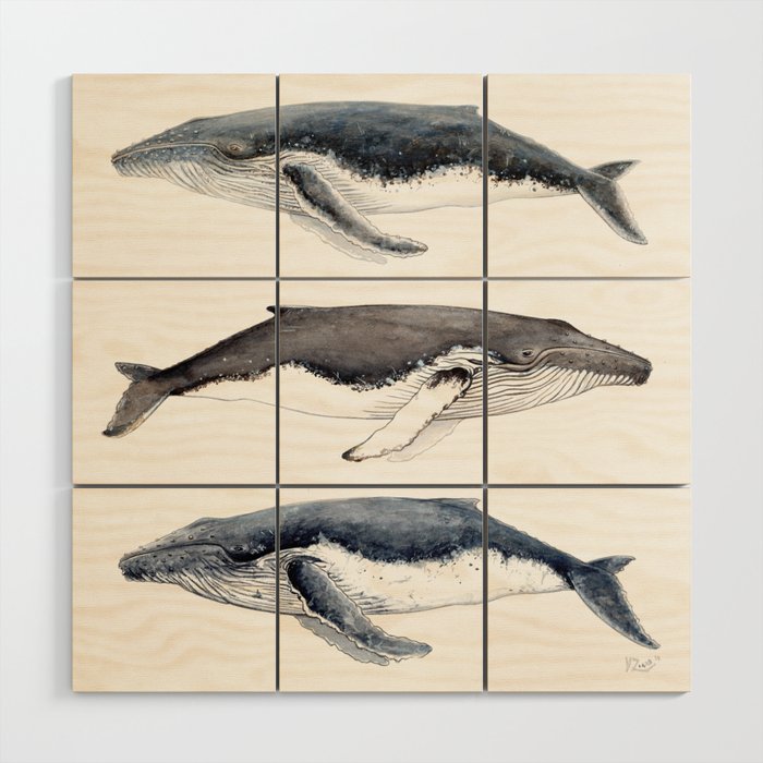 Humpback whales Wood Wall Art