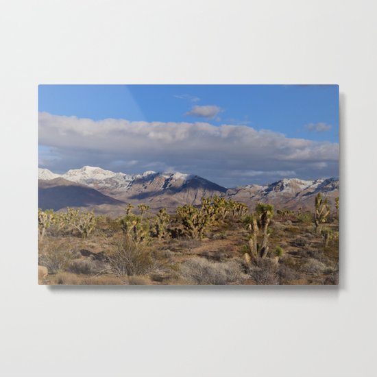 Winter in the Desert Metal Print