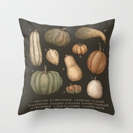 Pumpkins and Gourds Throw Pillow