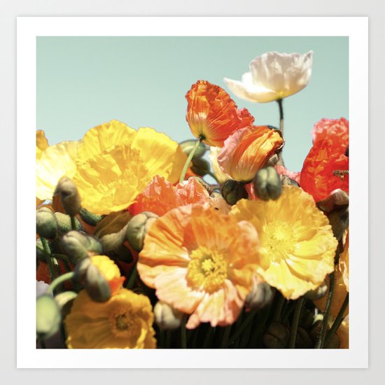Poppies Art Print