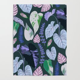 Tropical leaves - Cold Poster