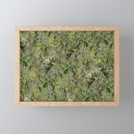cannabis bud, marijuana macro Framed Mini Art Print
