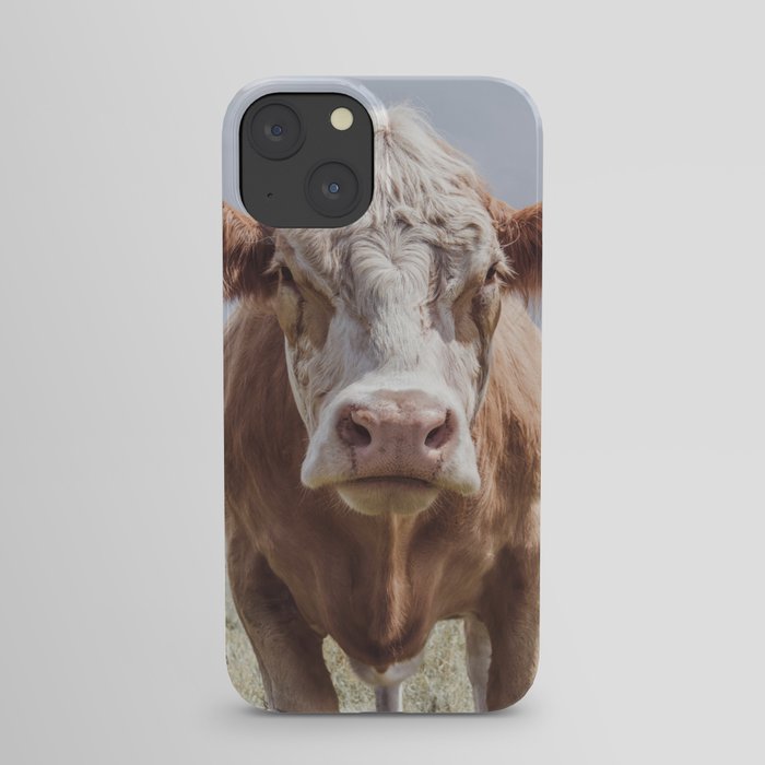 Animal Photography | Highland Cow Portrait Photography | Farm animals iPhone Case