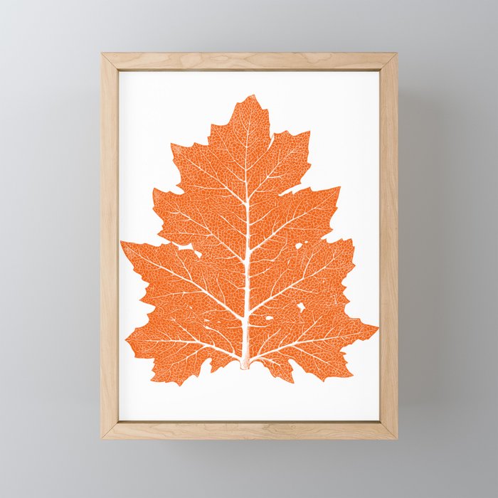 Vintage Orange Autumn Leaf Print Framed Mini Art Print