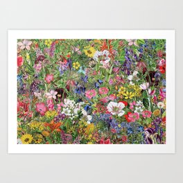 Botanical Bloom Nature Wildflower Art Print