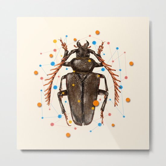 INSECT VIII Metal Print