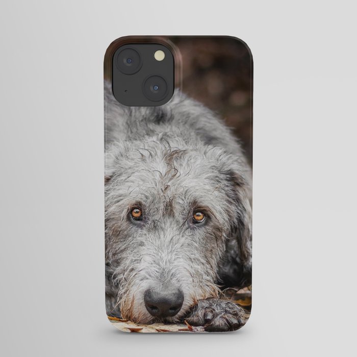 Irish Wolfhound lies on the pad with fallen autumn leaves. iPhone Case