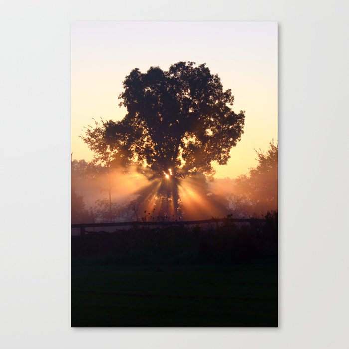 Sunrise Mist Canvas Print