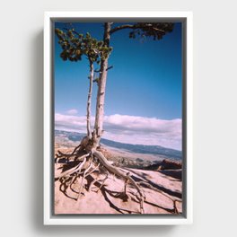 Long Tree Framed Canvas