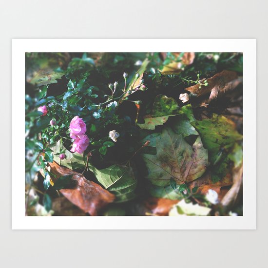 Garden Art Print
