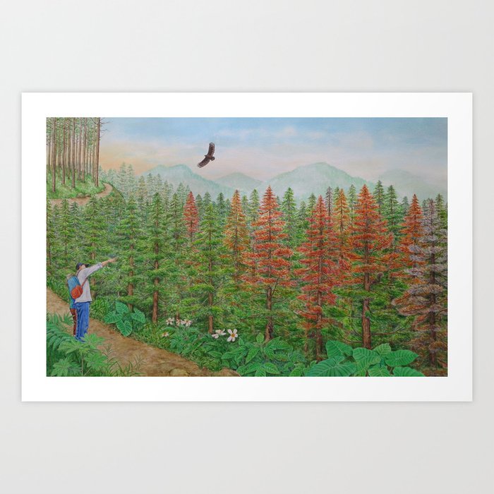 A Day of Forest(8). (coniferous forest) Art Print