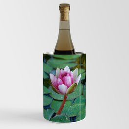 Water Lily 1 Wine Chiller