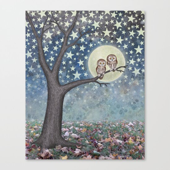 northern saw whet owls under the stars Canvas Print