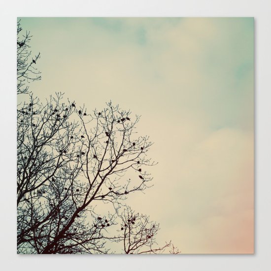 Nesting Canvas Print