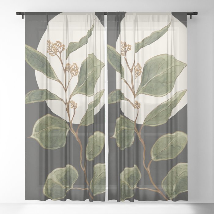 Sheer Curtain