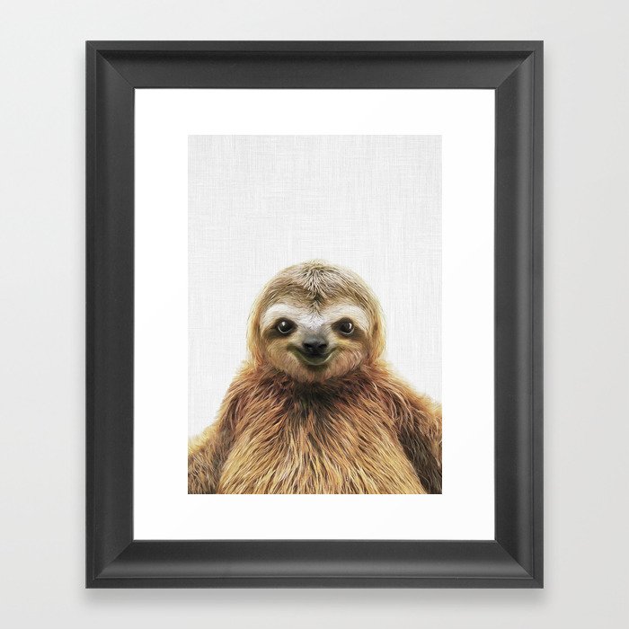 Young Sloth Framed Art Print