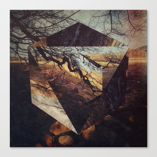 drrtmyth Canvas Print