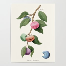 Macaron Plant Poster
