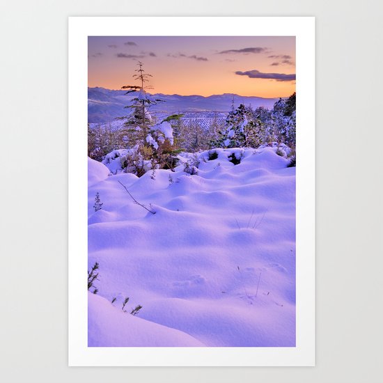 "Fresh snow at sunset". Into the woods Art Print