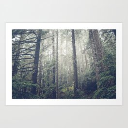 Silva II Art Print | Park, Bc, Digital Manipulation, Green, Hiking, Britishcolumbia, Canada, Forest, Fog, Photo 