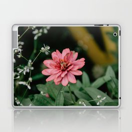  Peruvian zinnia Flower Laptop Skin