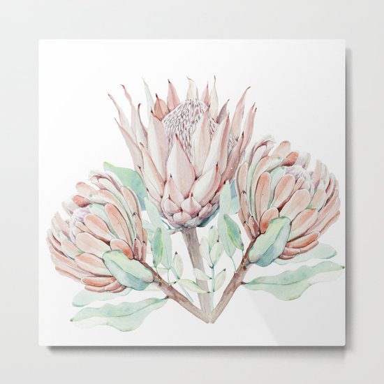 Protea #society6 #buyart Metal Print