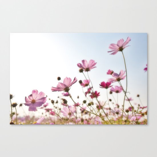 Plants flower Canvas Print