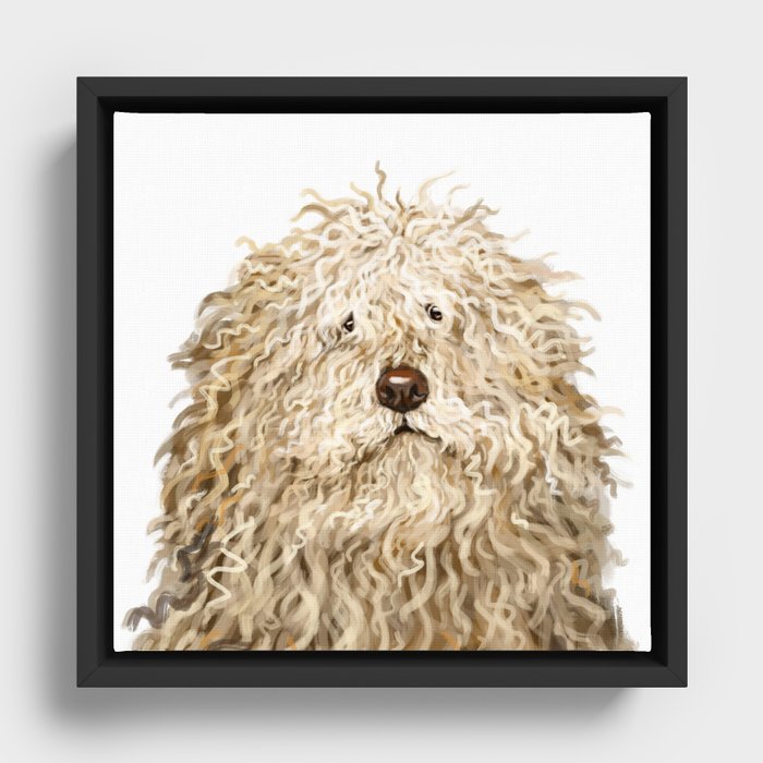 Framed Canvas