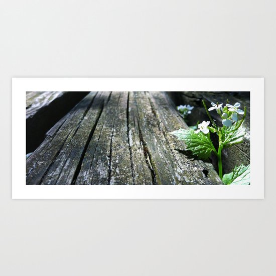@VisitingSteven instagram Art Print