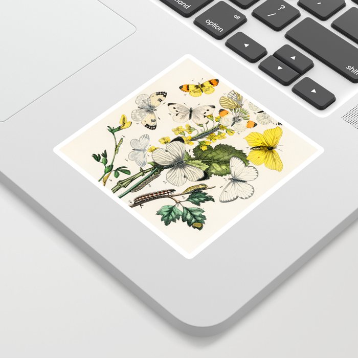 Yellow and White Butterflies and Flowers and Plants Cottagecore Nature Illustration  Sticker
