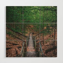 Boardwalk stairs down into the wooded part of a park in Michigan Wood Wall Art