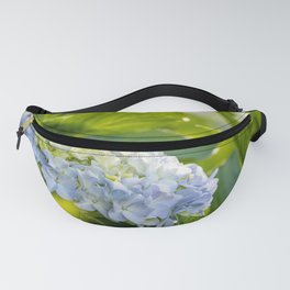 Blue and yellow flower, Hydrangea, cute and beautiful blossom. Fanny Pack