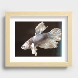 Swimming Along Recessed Framed Print